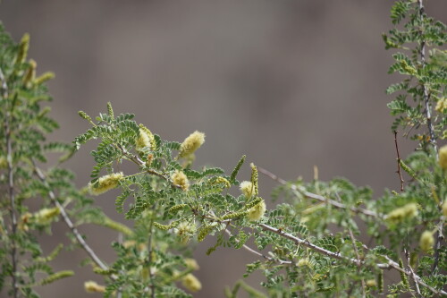 DSC08258.jpg