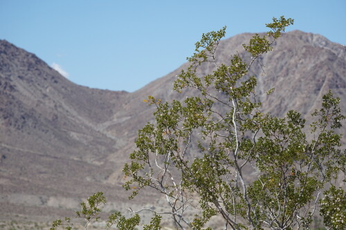DSC08348.jpg