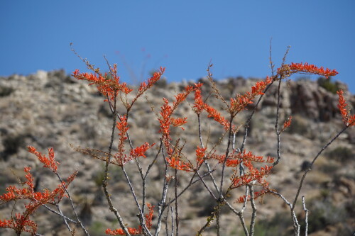 DSC08359.jpg