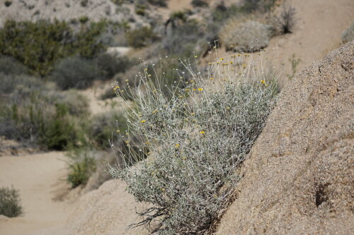 DSC083978b7da0f457193ed2.jpg