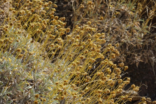 DSC08401.jpg